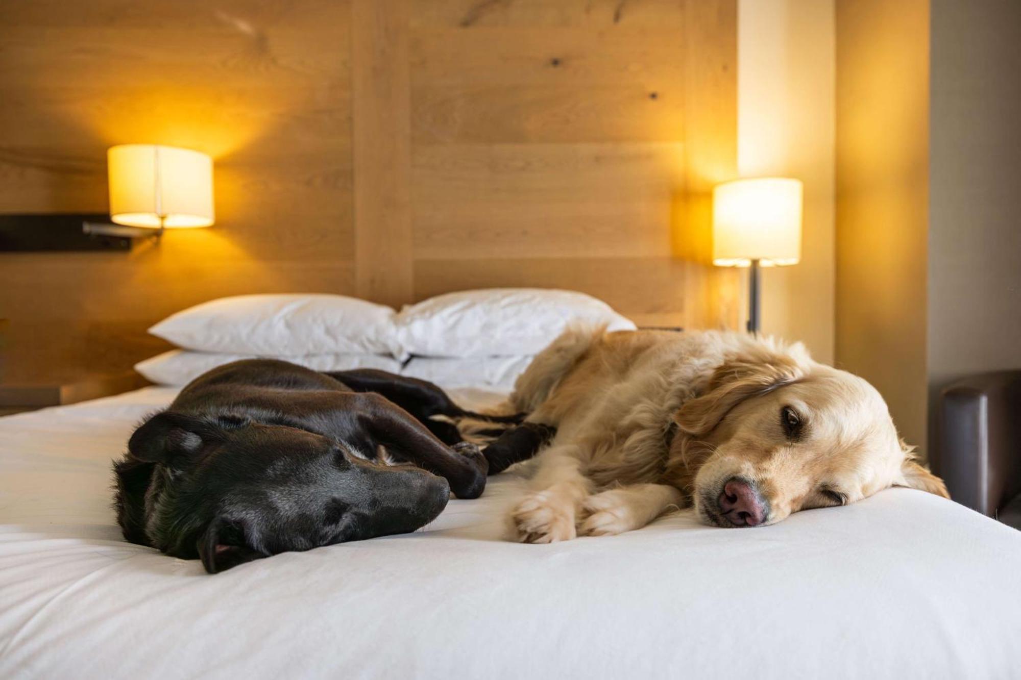 Hyatt Regency Lake Tahoe Resort, Spa & Casino อินไคลน์วิลเลจ ภายนอก รูปภาพ